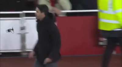 Arteta vs fly