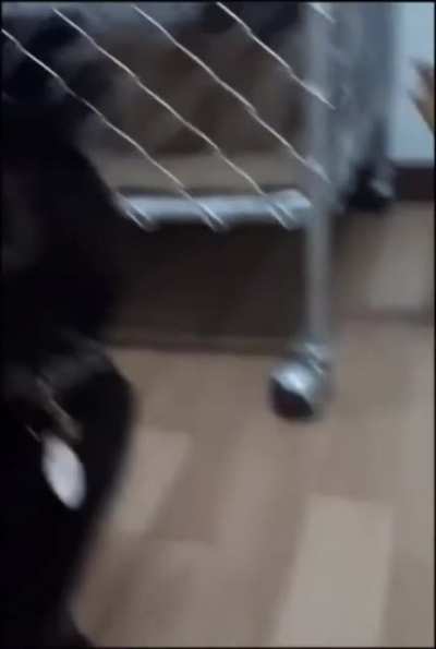 Что за...