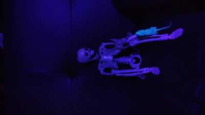 Silly Skeleton: Stop Motion WIP &times;w&times;