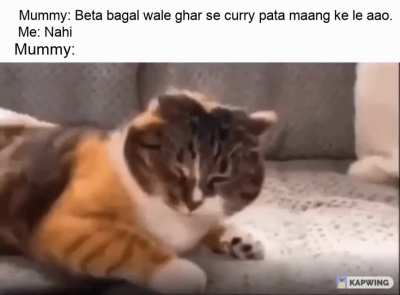 OC. Mere ghar ke saamne hi kisi ke paas ped hai.