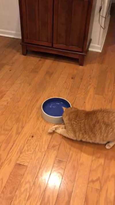 We got the heavy ceramic bowl so he wouldn&rsquo;t splash water all over.