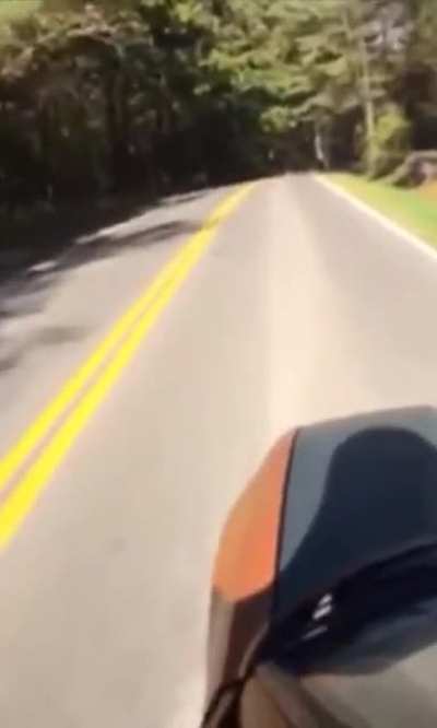 Skateboarding on a dead car 🤫