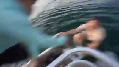 Logan Paul attempts to kill his dog by pushing it into a boat propeller for "content" and tries to pretend it just jumped off.