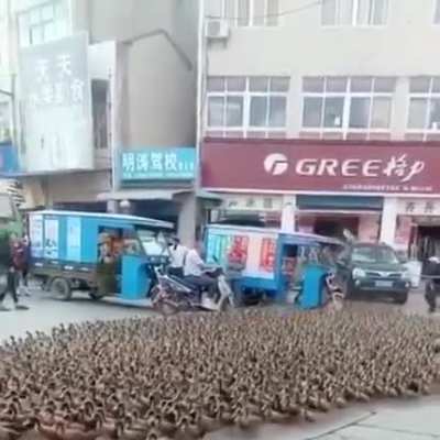 New investors coming into Crypto