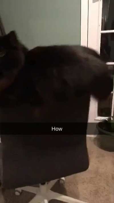 Peapod&rsquo;s favorite seat in the house