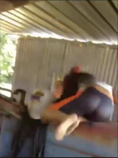 Why you shouldn't mess with chickens.