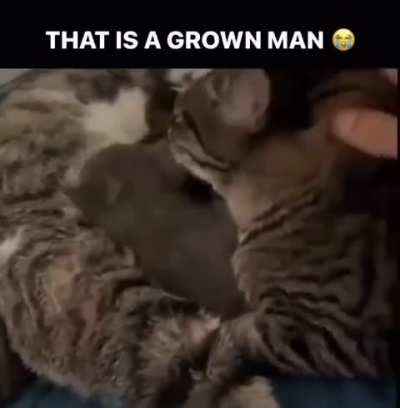 He&rsquo;s the milk man🥛