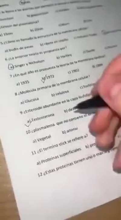 Probability exam