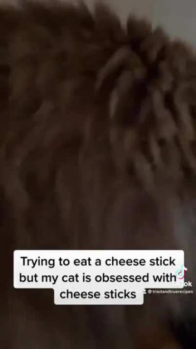 My cat has never met a cheese stick she didn&rsquo;t try to eat.