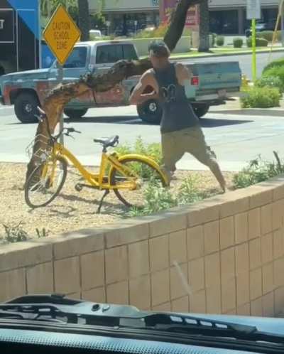How dare that tree.