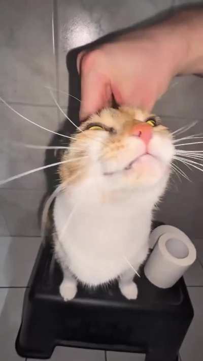 hdsgajhsgsfdjhsdgv "sfdghsagj"