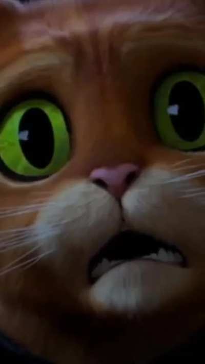 Furry_irl