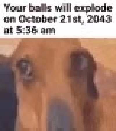 The