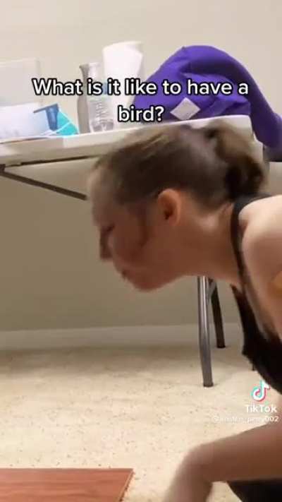 Bird Won&rsquo;t Let Owner Have Beer