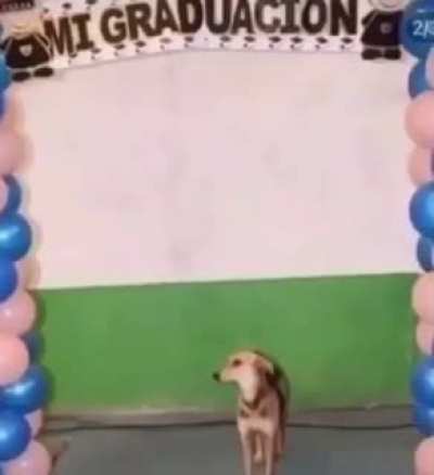 Amigo do Tobias que parou de ir às rave e virou engenheiro
