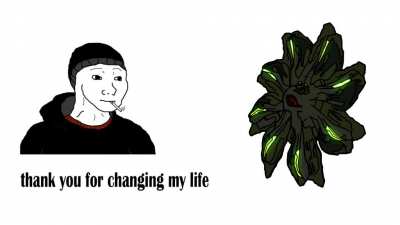Thank you for changing my life...