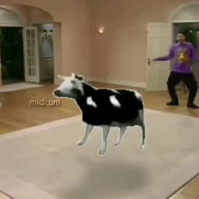 Polish cow