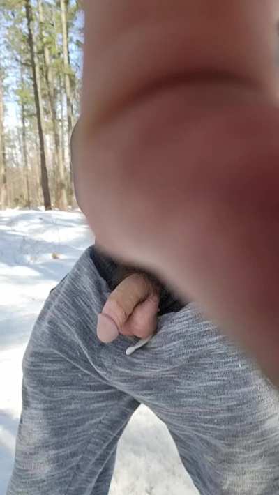 Went for a walk. One snowmobiler went by but didnt stop 🥲