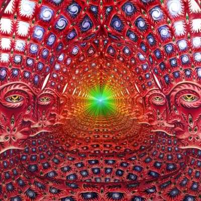 Got bored and animated Alex Grey's Net of Being this morning. His work is so awesome.