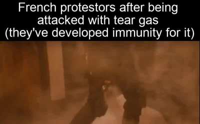 This but a scratch