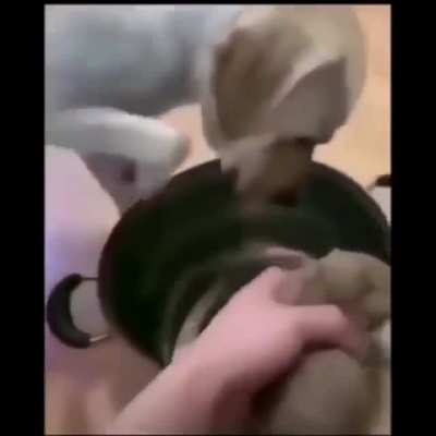 &ndash;𝐄𝐥 𝐡𝐨𝐦𝐛𝐫𝐞 𝐦𝐮𝐞𝐫𝐞 𝐜𝐮𝐚𝐧𝐝𝐨 𝐥𝐨 𝐚𝐬𝐞𝐬𝐢𝐧𝐚𝐧&ndash; Gente, no tengo novia