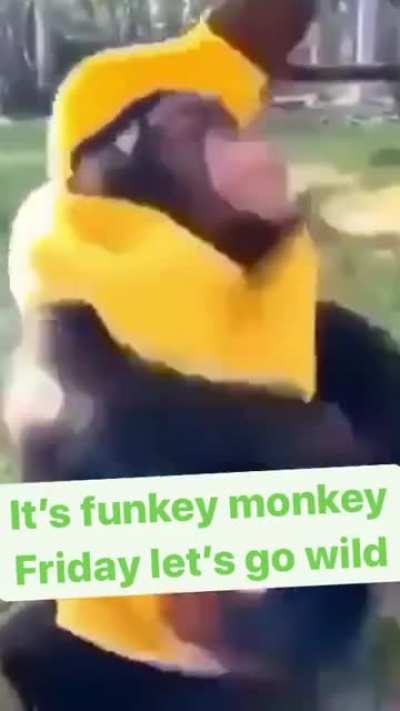 Alguien ten&iacute;a que hacer platano torino 2