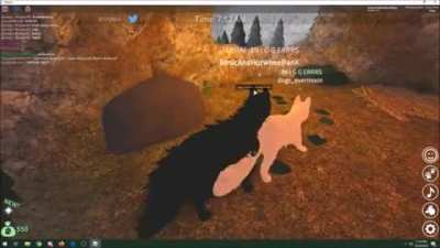 Furries meat online
