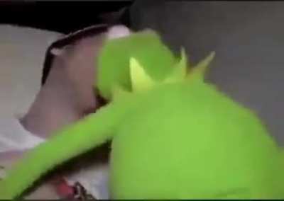 Kermit no