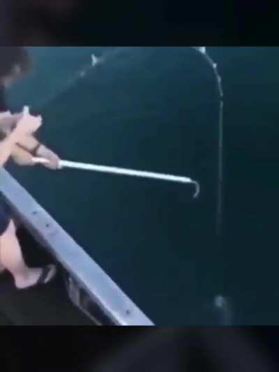 Kill it twice