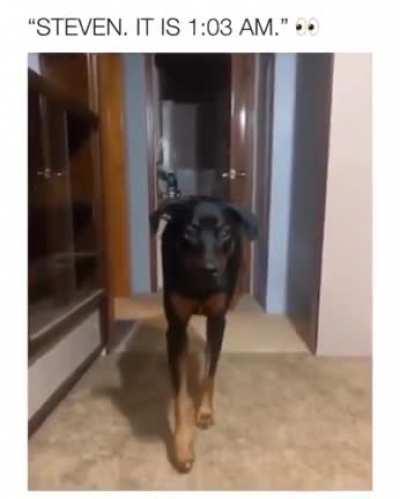 Sneaky goofball