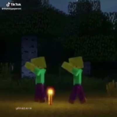 Minecraft monkey banging on door