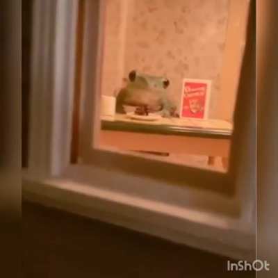 pokes daily life