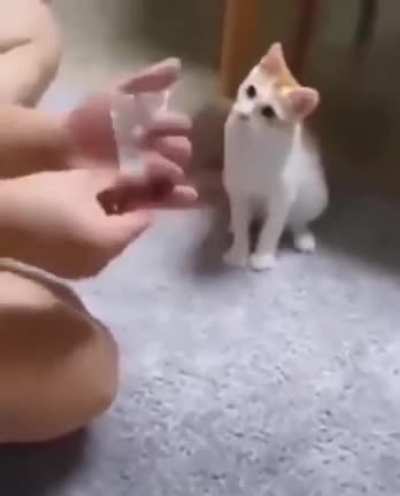 Ops