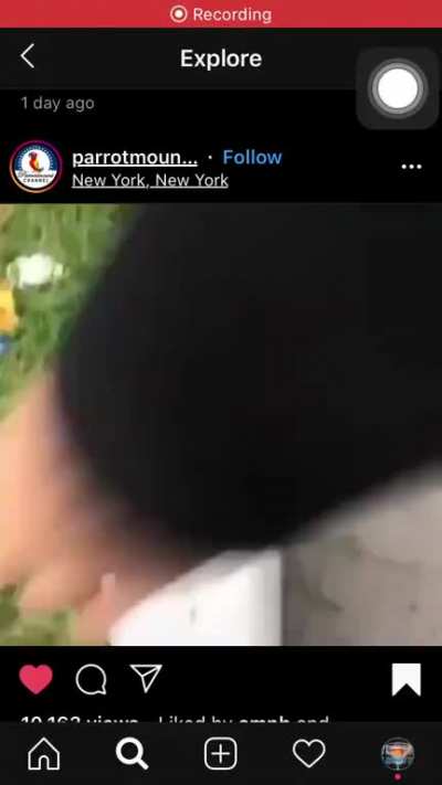 Found a pretty funny post on Instagram (can&rsquo;t edit cuz Reddit ) the bird was not harmed