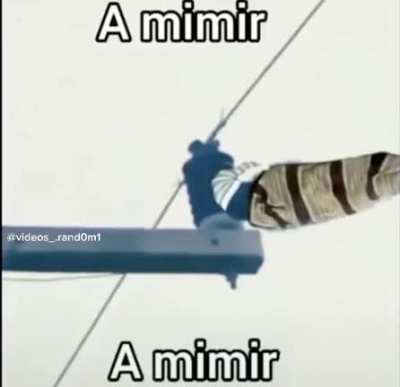 A mimir
