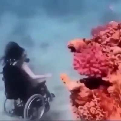 cursed_vegetable
