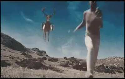 Oh deer