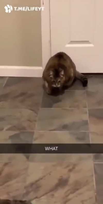 Being dramatic