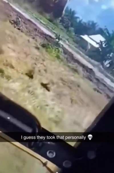 Toad is that you?