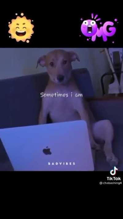 Mp3 (CTTO) dogporn