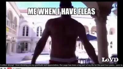 DO U HAVE THEM 2??