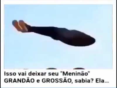 titulo