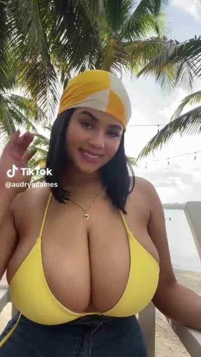 @aundryadames