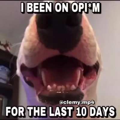 I been on opium for the last 10 days