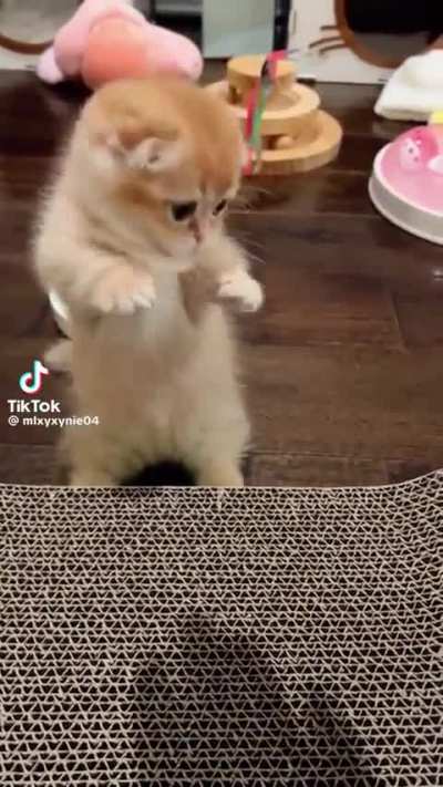 I just wanna hold it.