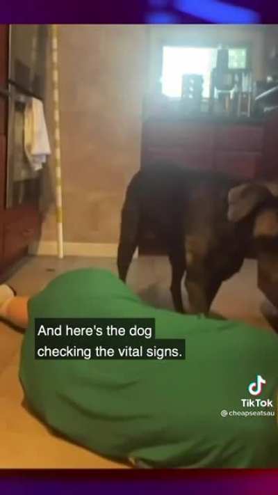 Choking in front of a dog