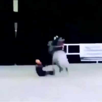 WCGR using a horse to carry an injured person