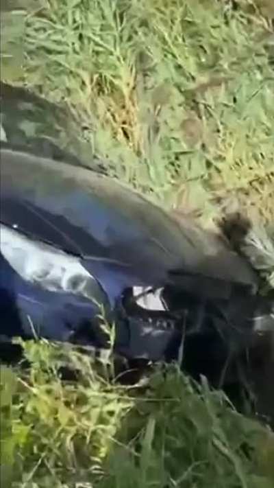 When a BMW tries to imitate an AMG (OC)