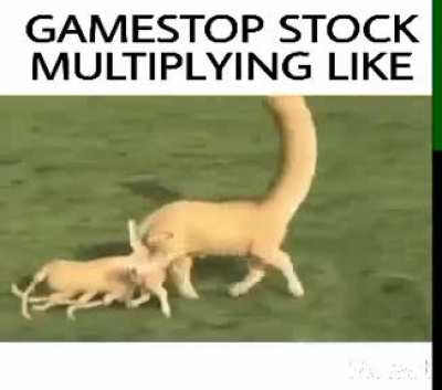 GameStop Stock Multiplying Like...