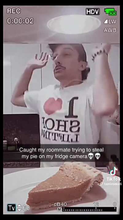 Drake the type